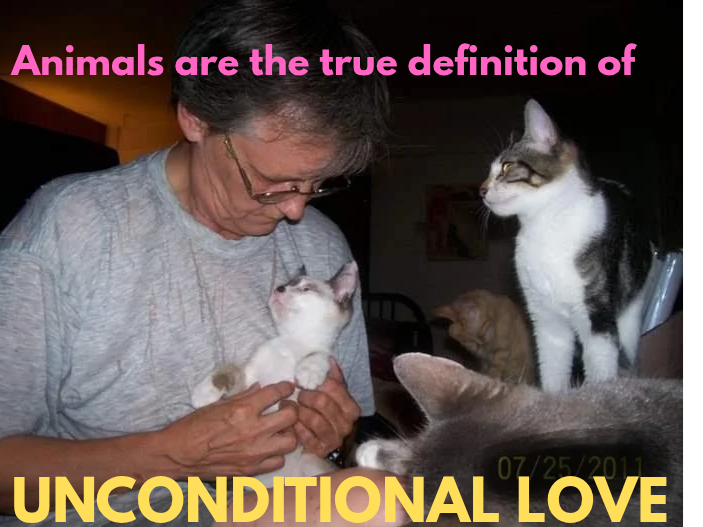 Unconditional Love